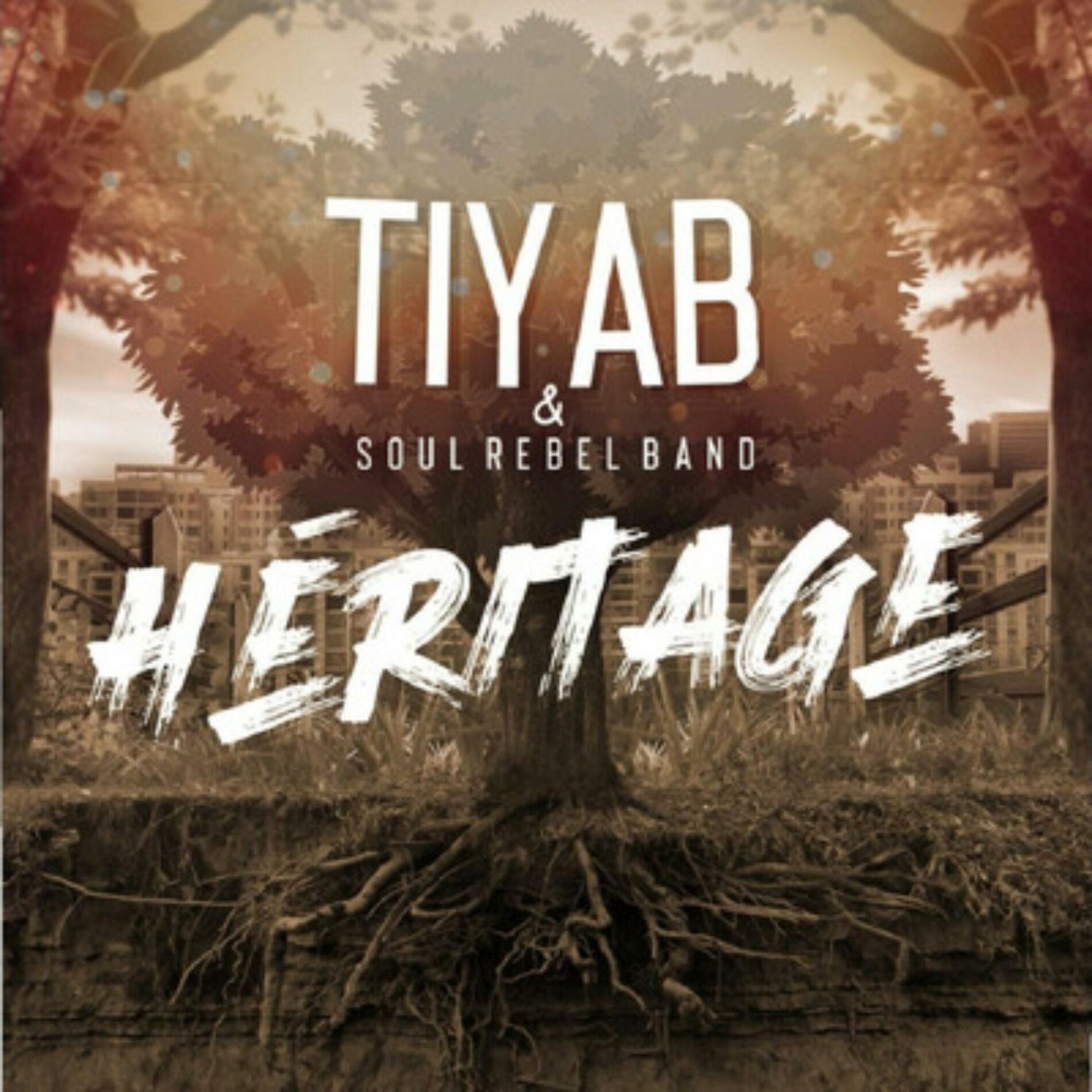 Album cover of Héritage