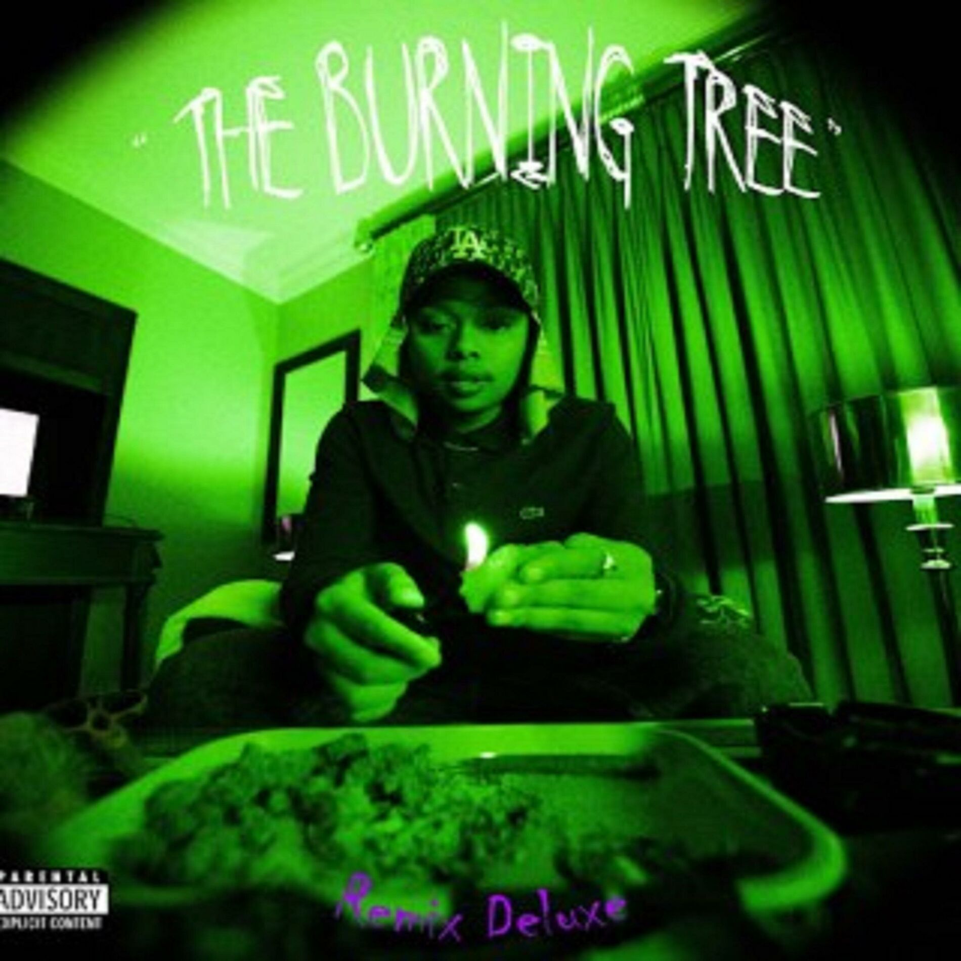 Album cover of The Burning Tree