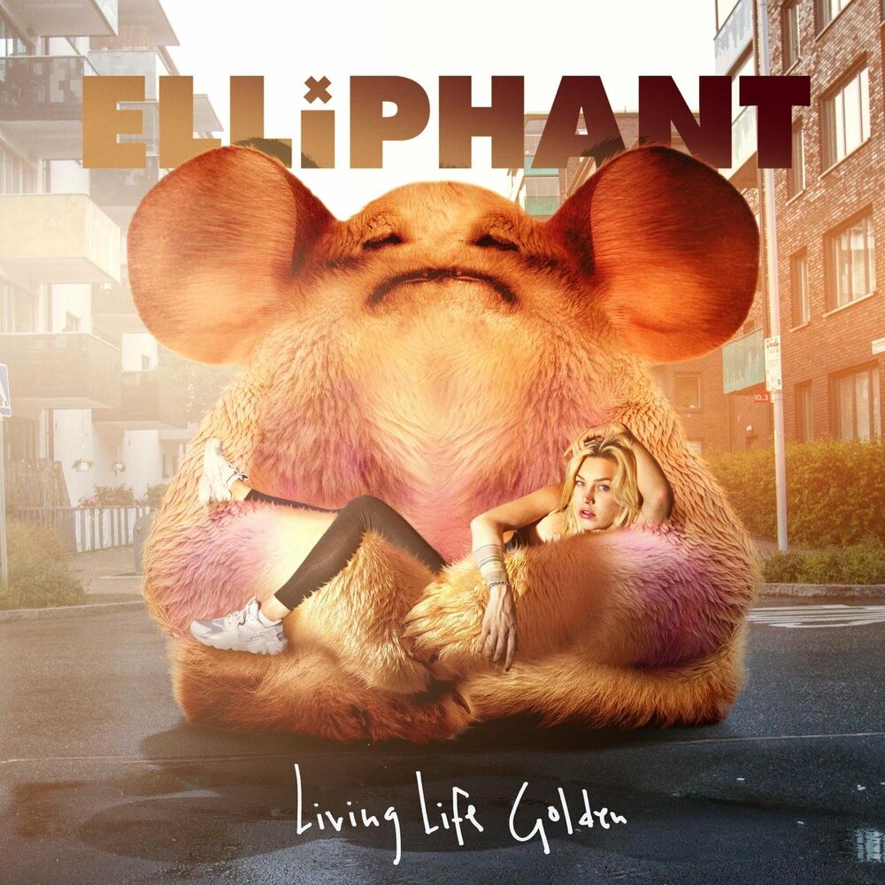 Picture of Living Life Golden