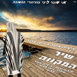 Cover of שיר המקווה