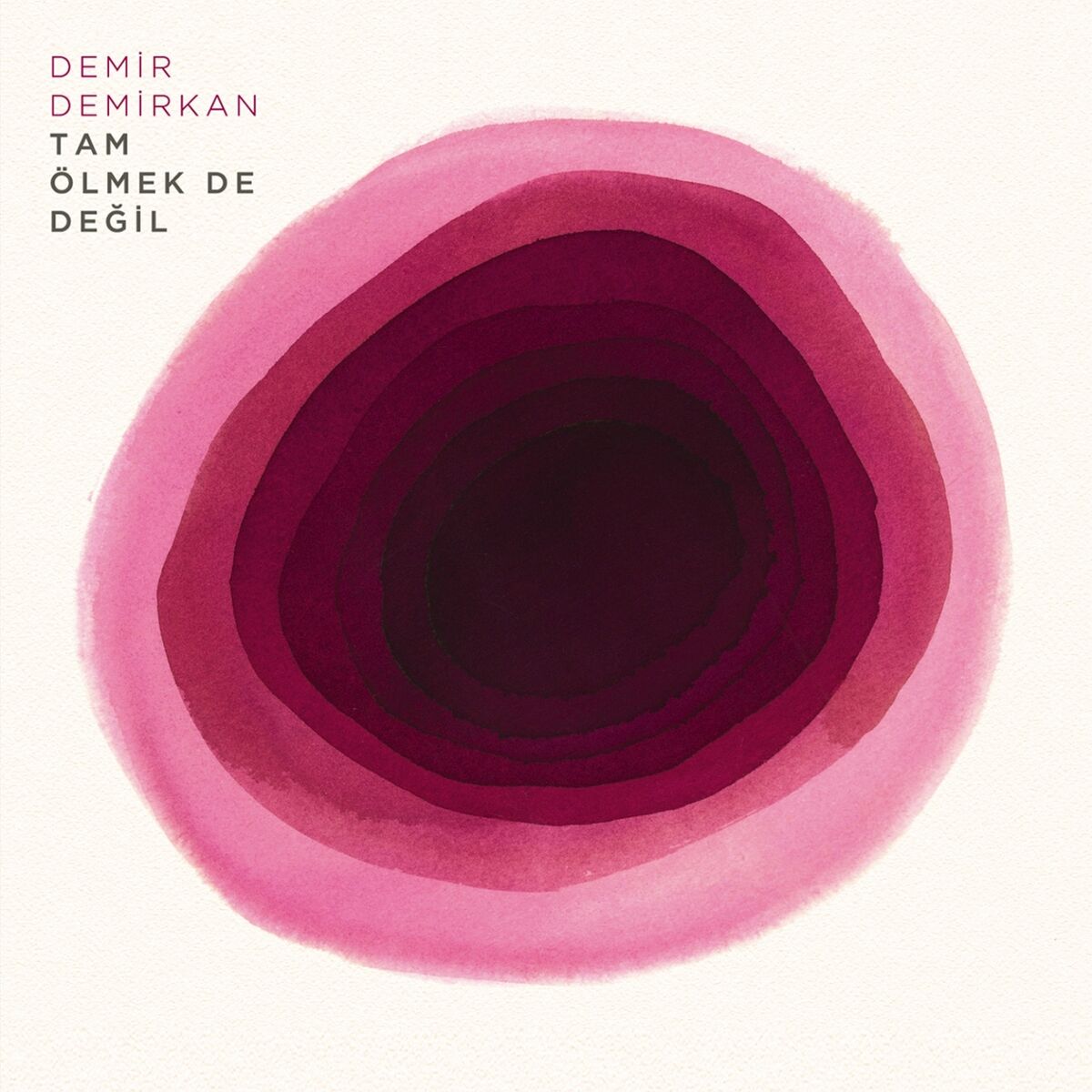 Album cover of Tam Ölmek De Değil
