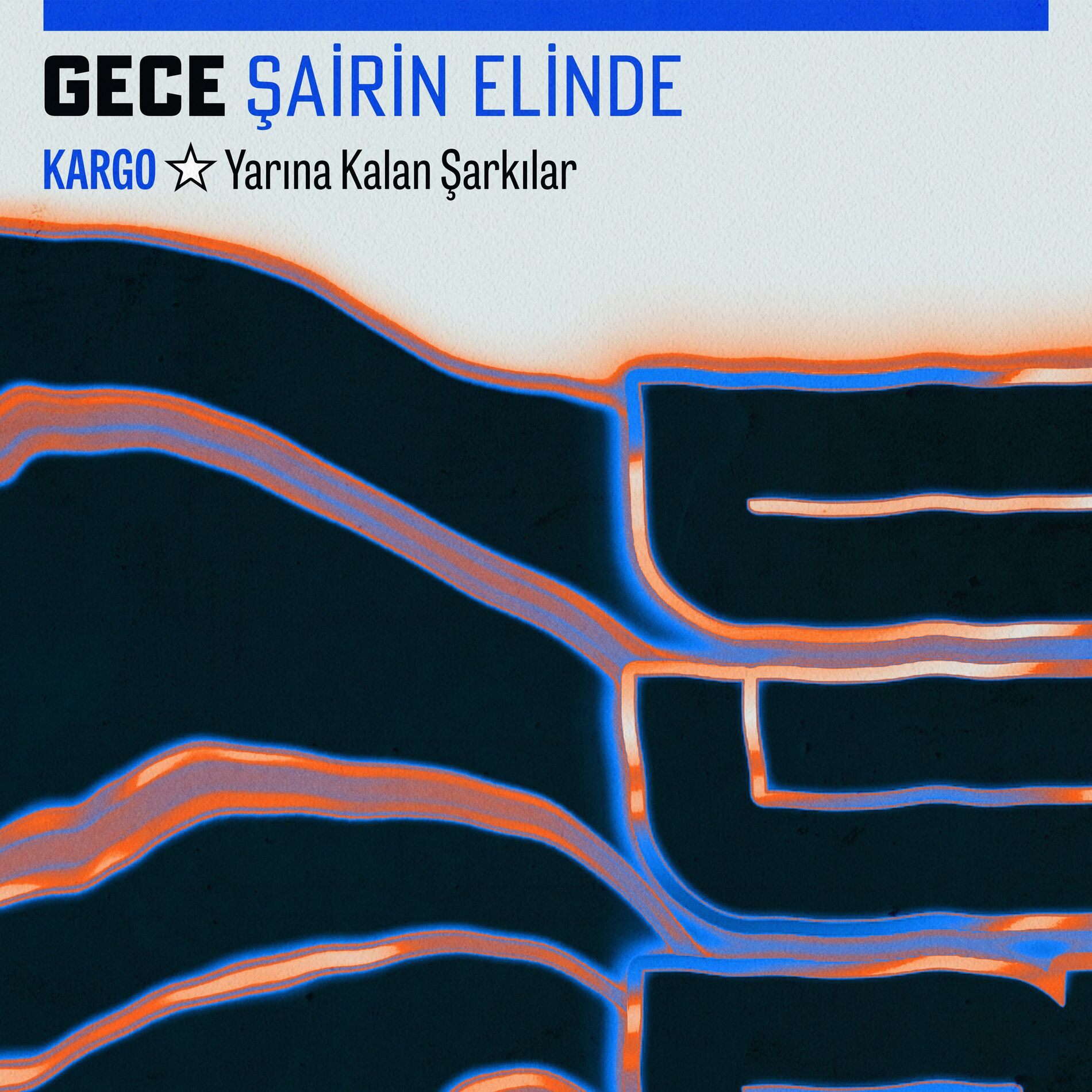 Album cover of Şairin Elinde