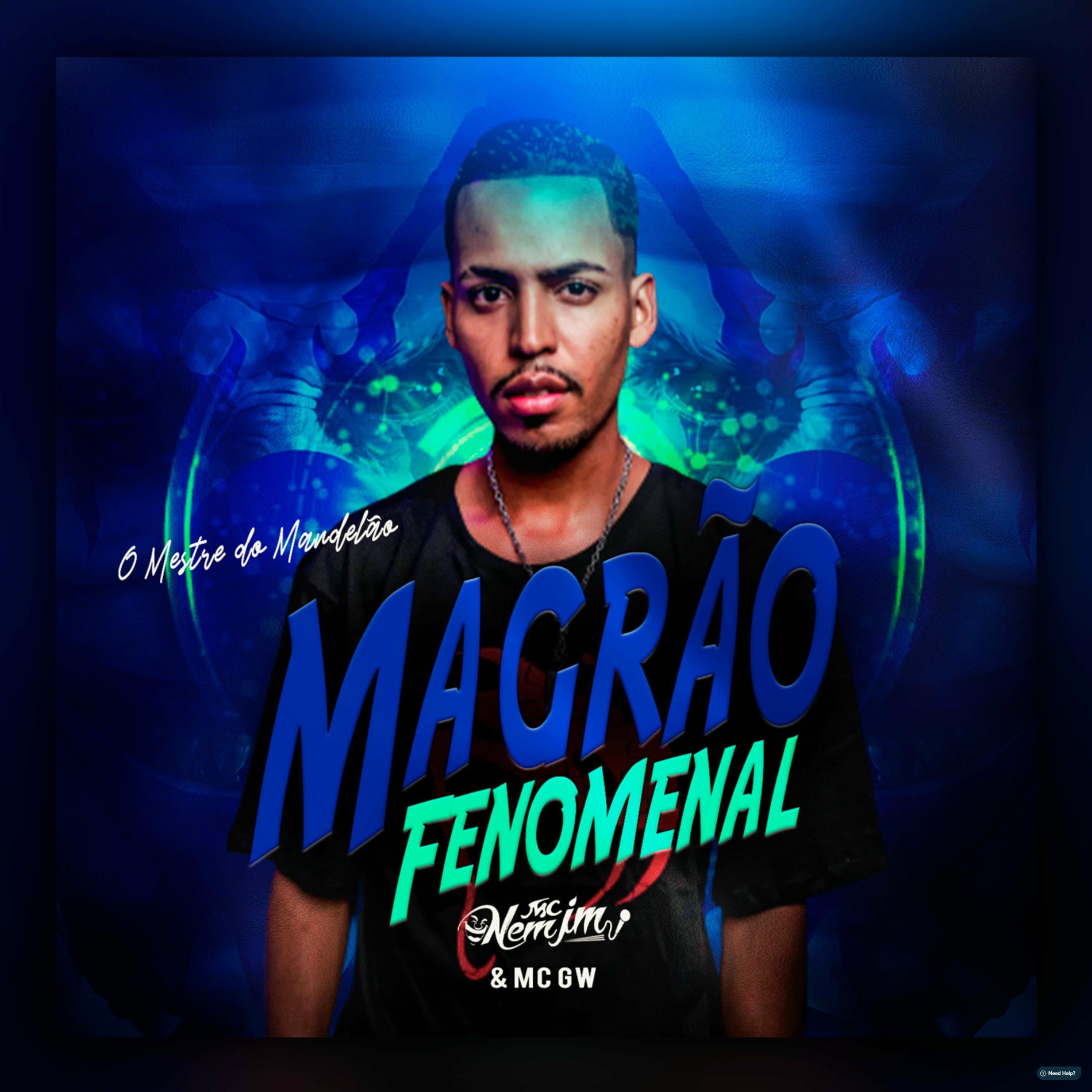 Album cover of Magrão Fenomenal (feat. Mc Gw)