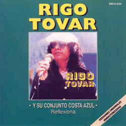 Cover of Reflexiona