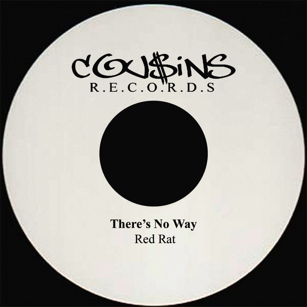 Picture of There's No Way