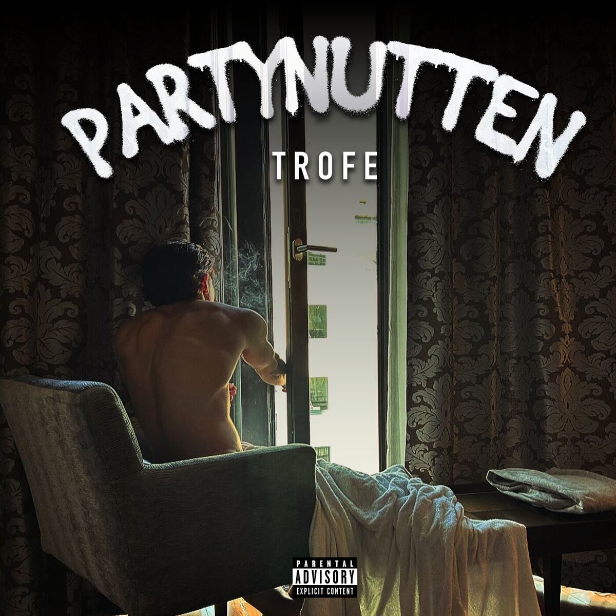 Album cover of Partynutten