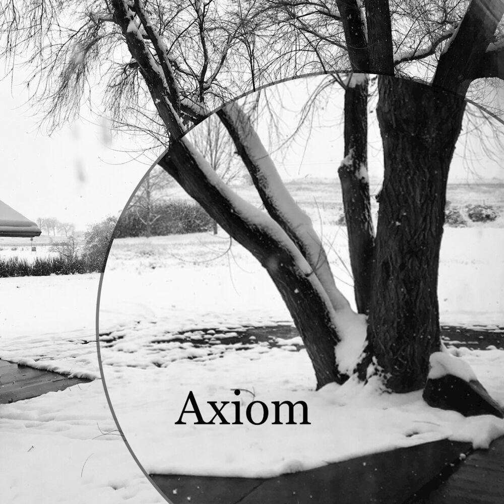 Picture of Axiom