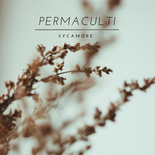 Cactus by Permaculti - 180 BPM