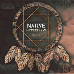 Cover of Native