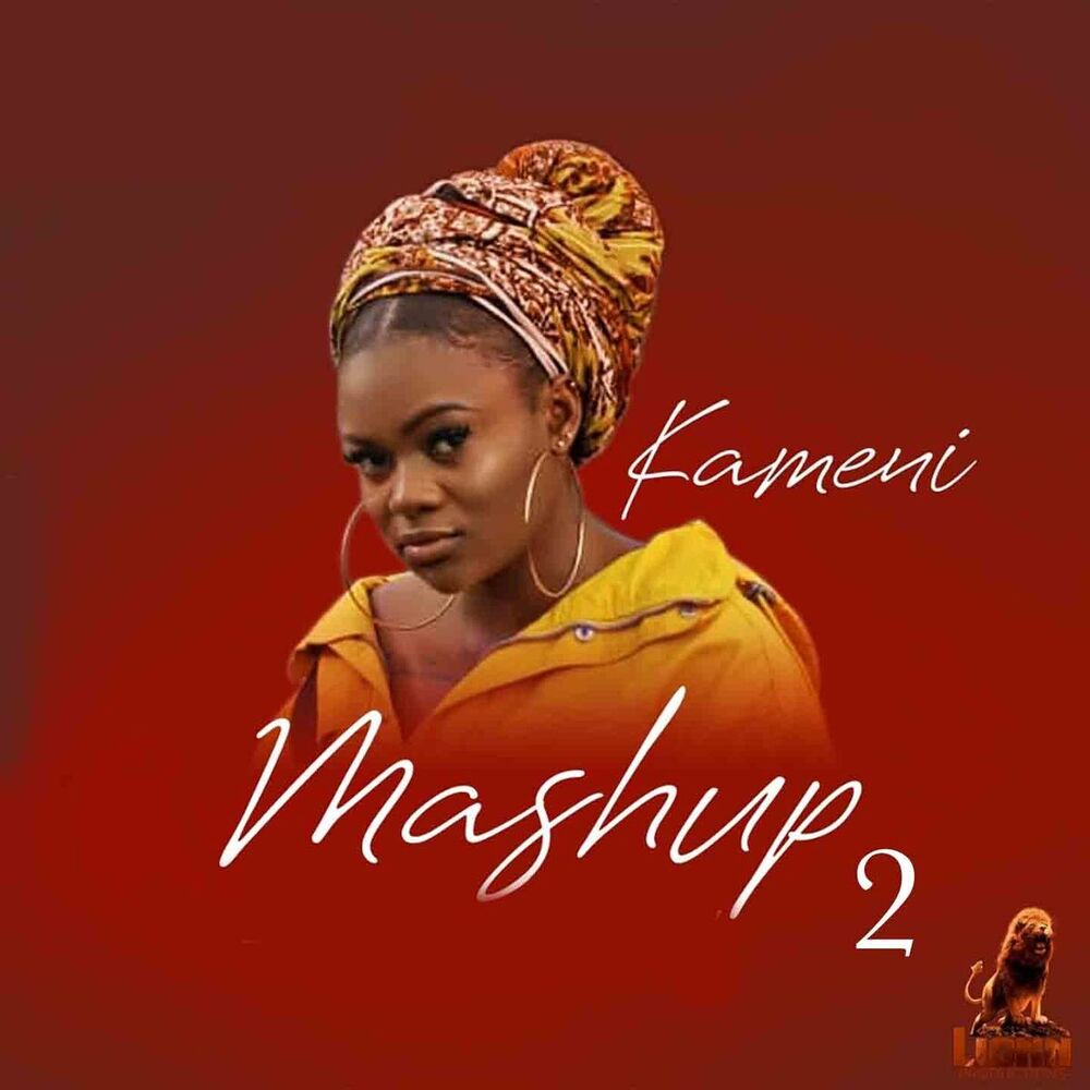Picture of Mashup, pt. 2 (Locko, teni, burna boy)