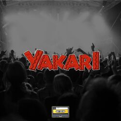 Cover of ETT RINGERIKE PARDY (YAKARI)