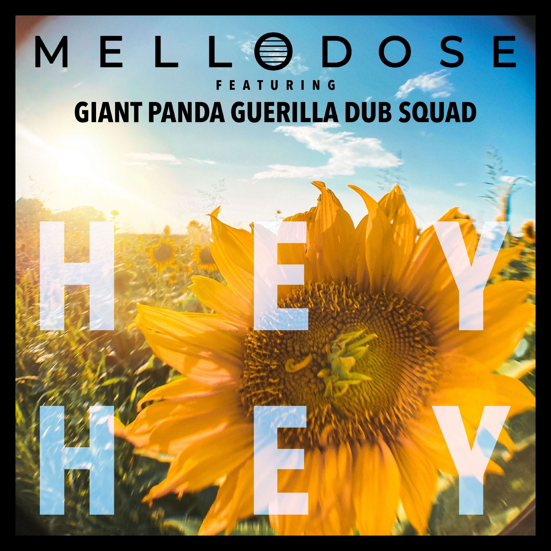 Album cover of Hey Hey