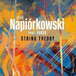 Cover of String Theory
