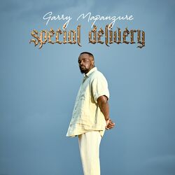 Cover of Special Delivery