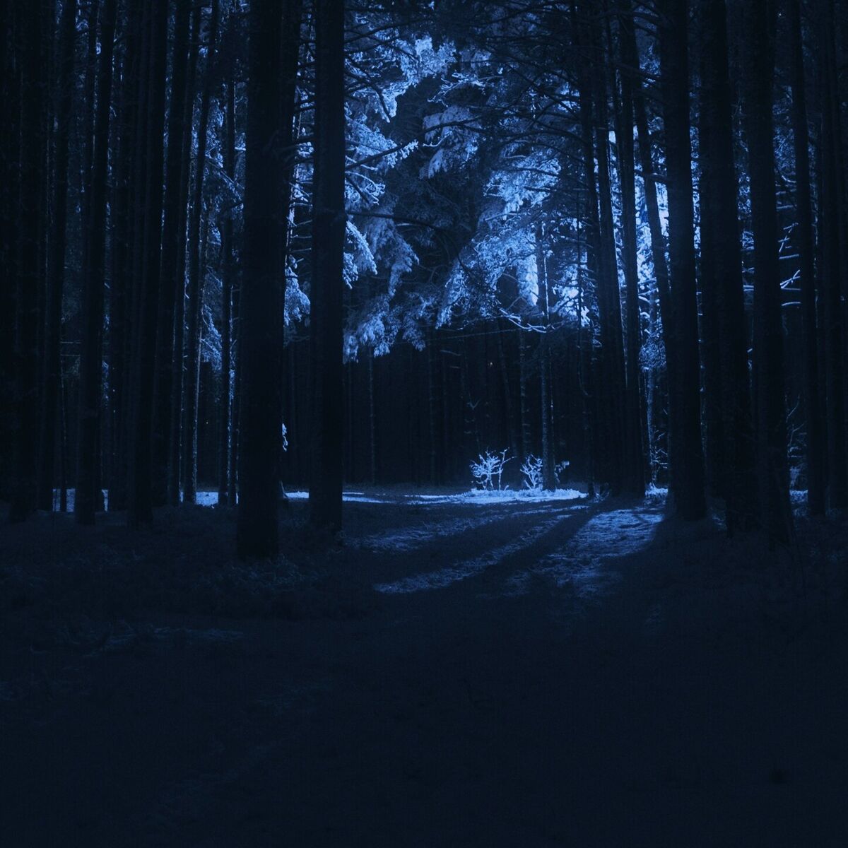 Album cover of comfort chain
