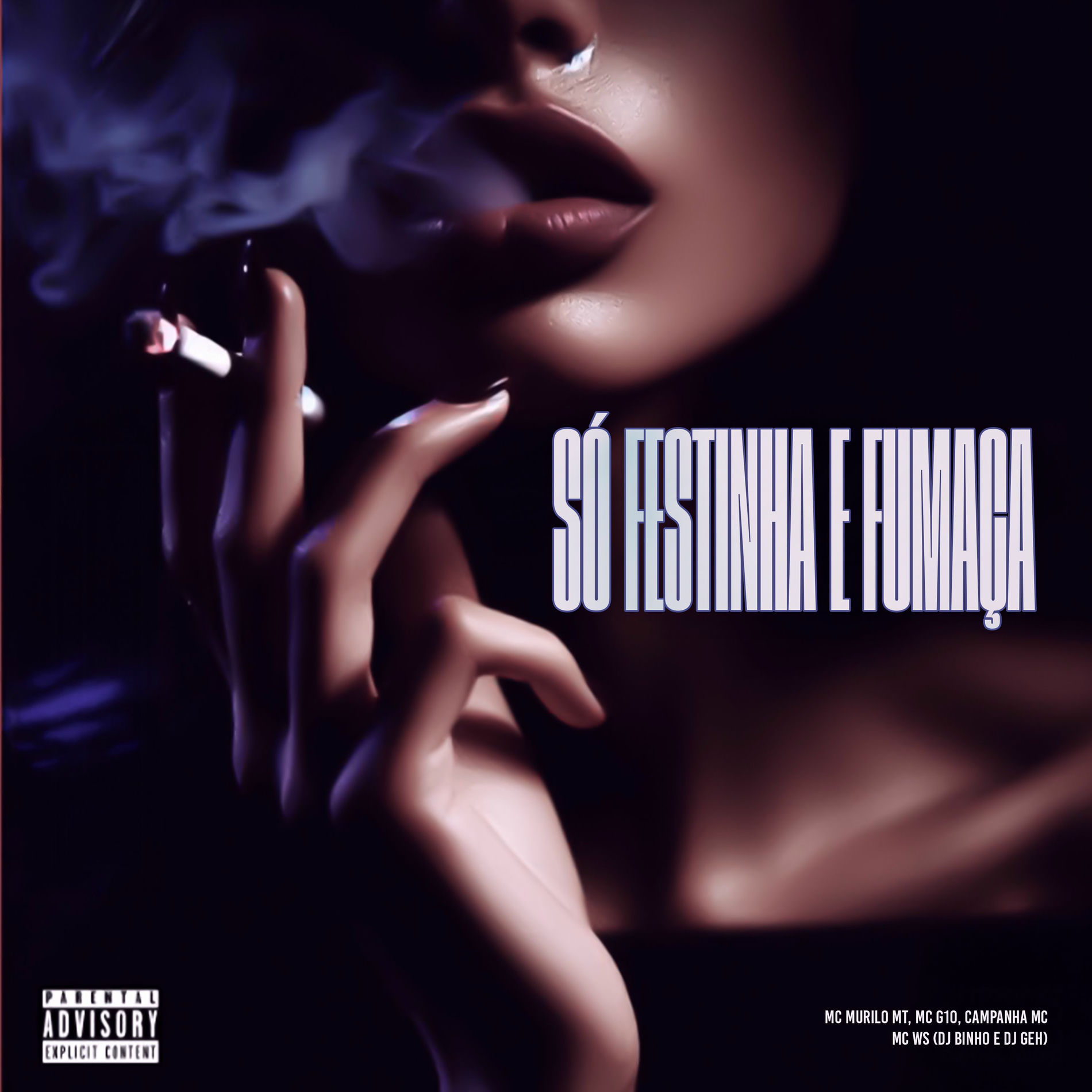 Album cover of Só Festinha e Fumaça