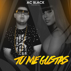 Cover of Tu Me Gustas