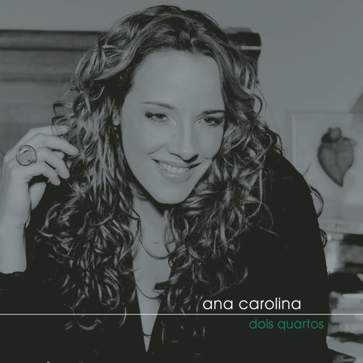 Album cover of Vai