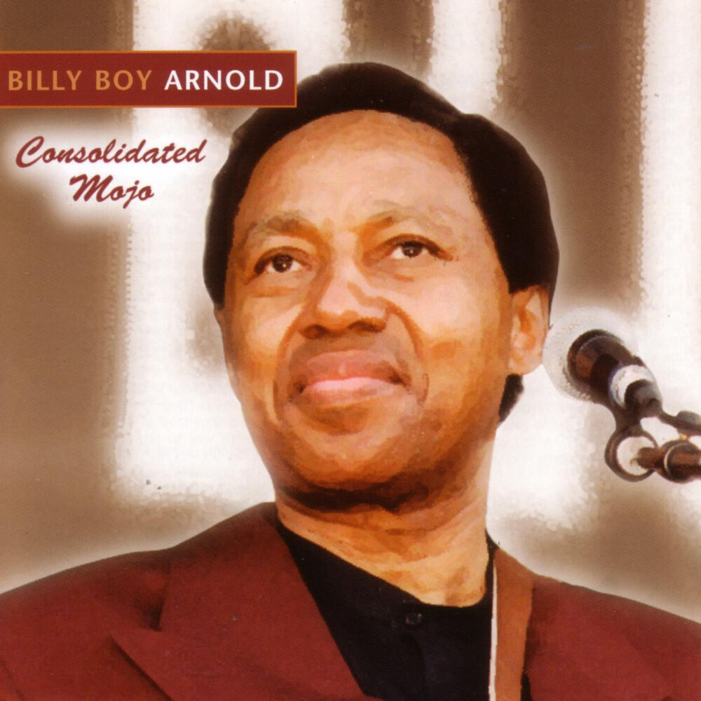 Picture of Consolidated Mojo