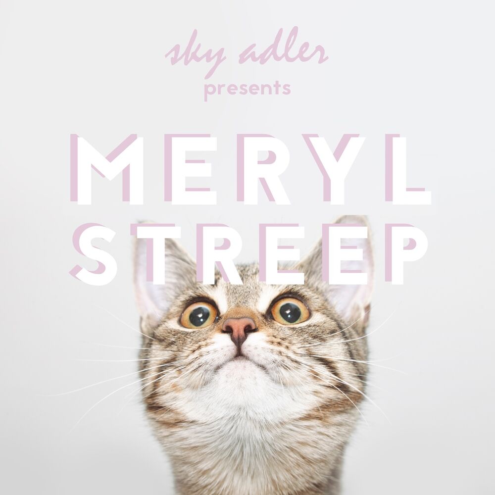 Picture of Meryl Streep