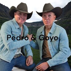 Cover of Alegre y parrandero