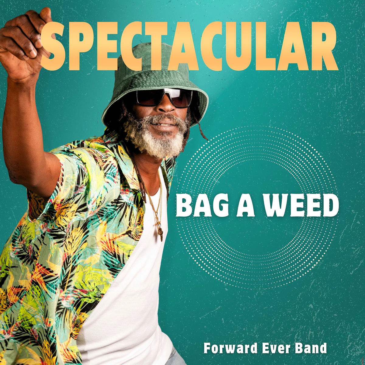 Album cover of Bag a Weed