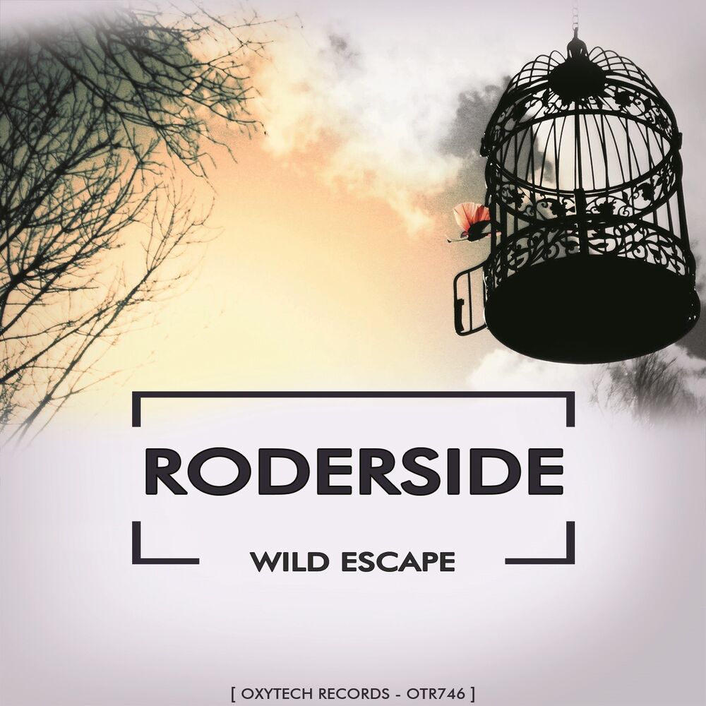 Picture of Wild Escape