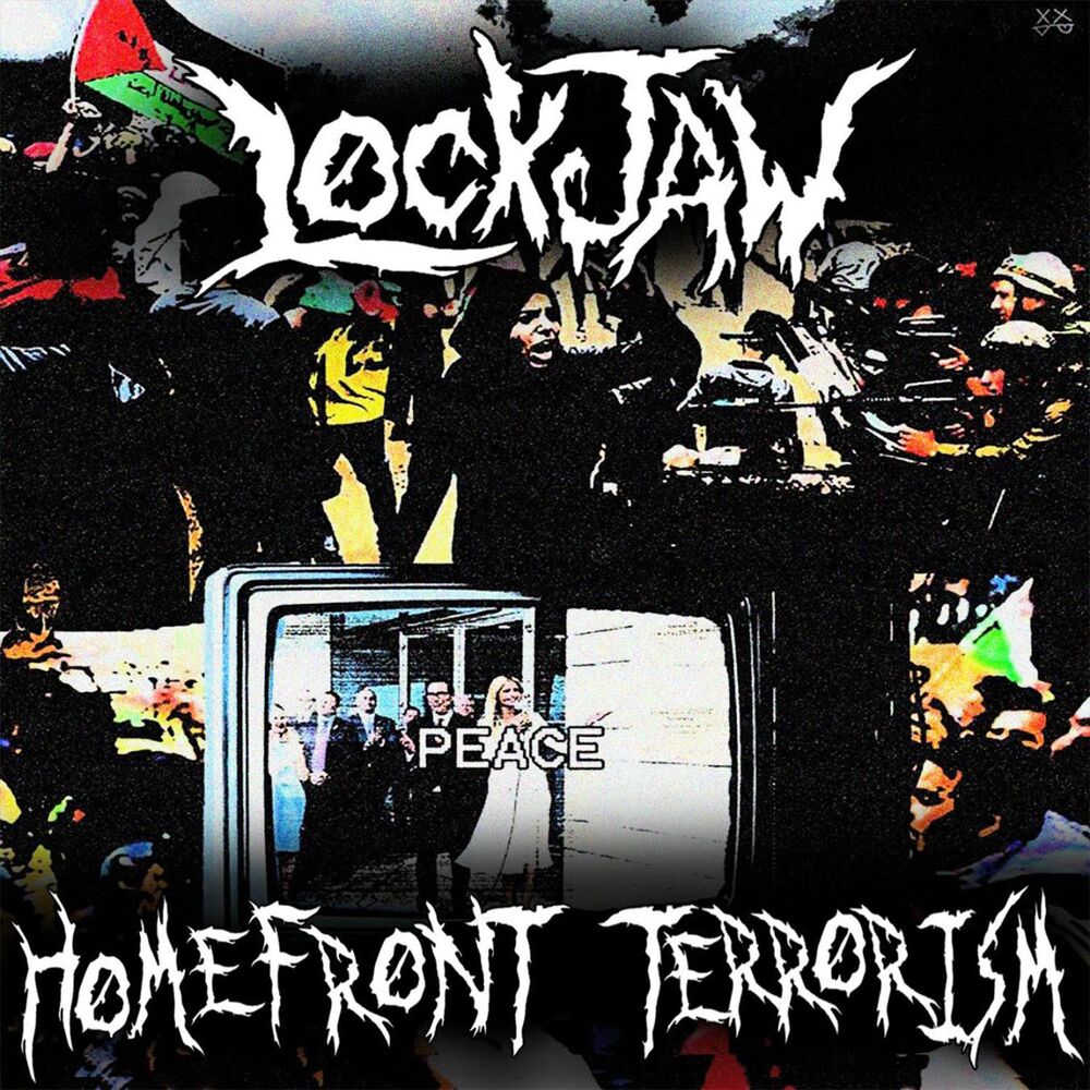 Picture of Homefront Terrorism