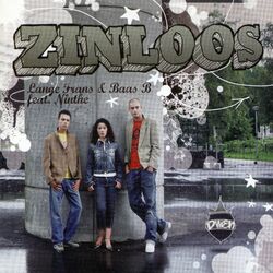Cover of Zinloos