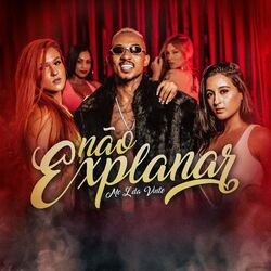 Cover of Não Explanar