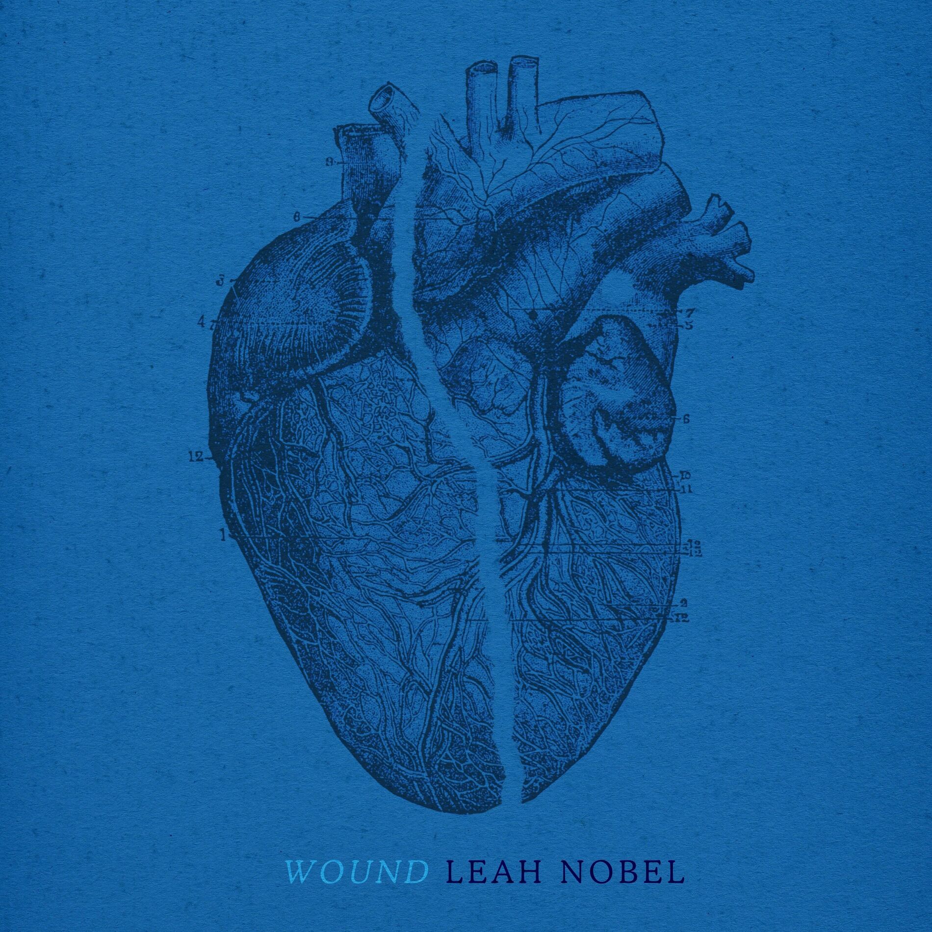 Album cover of Wound