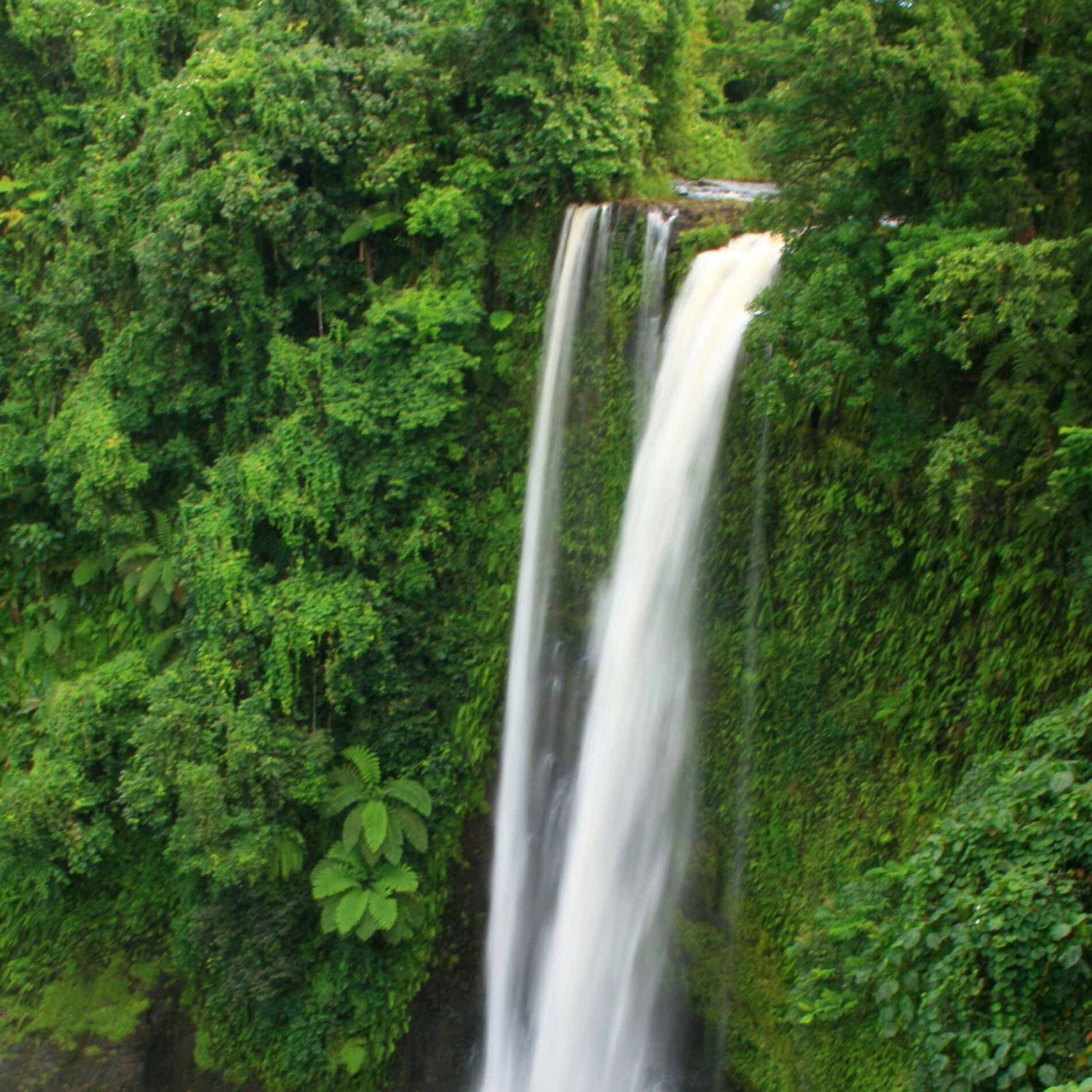 Album cover of Waterfalls (feat. Charlotte Koomen, Sleep Therapy Radio & Elita Purcill)