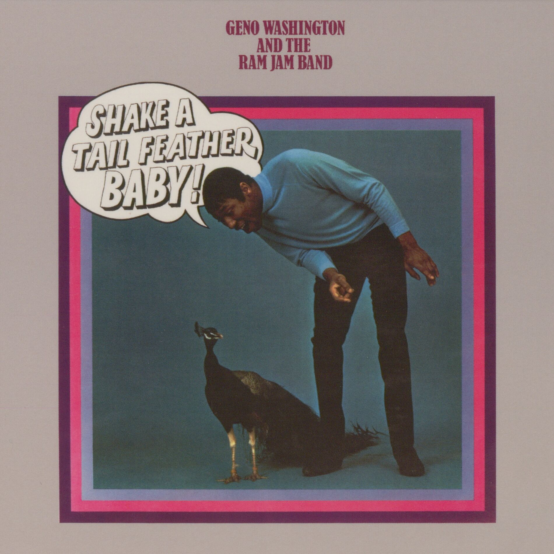 Album cover of Shake A Tail Feather