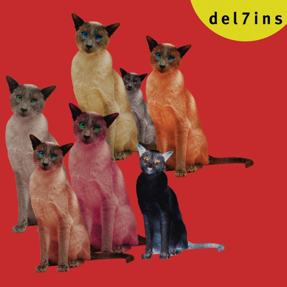 Picture of DEL7INS