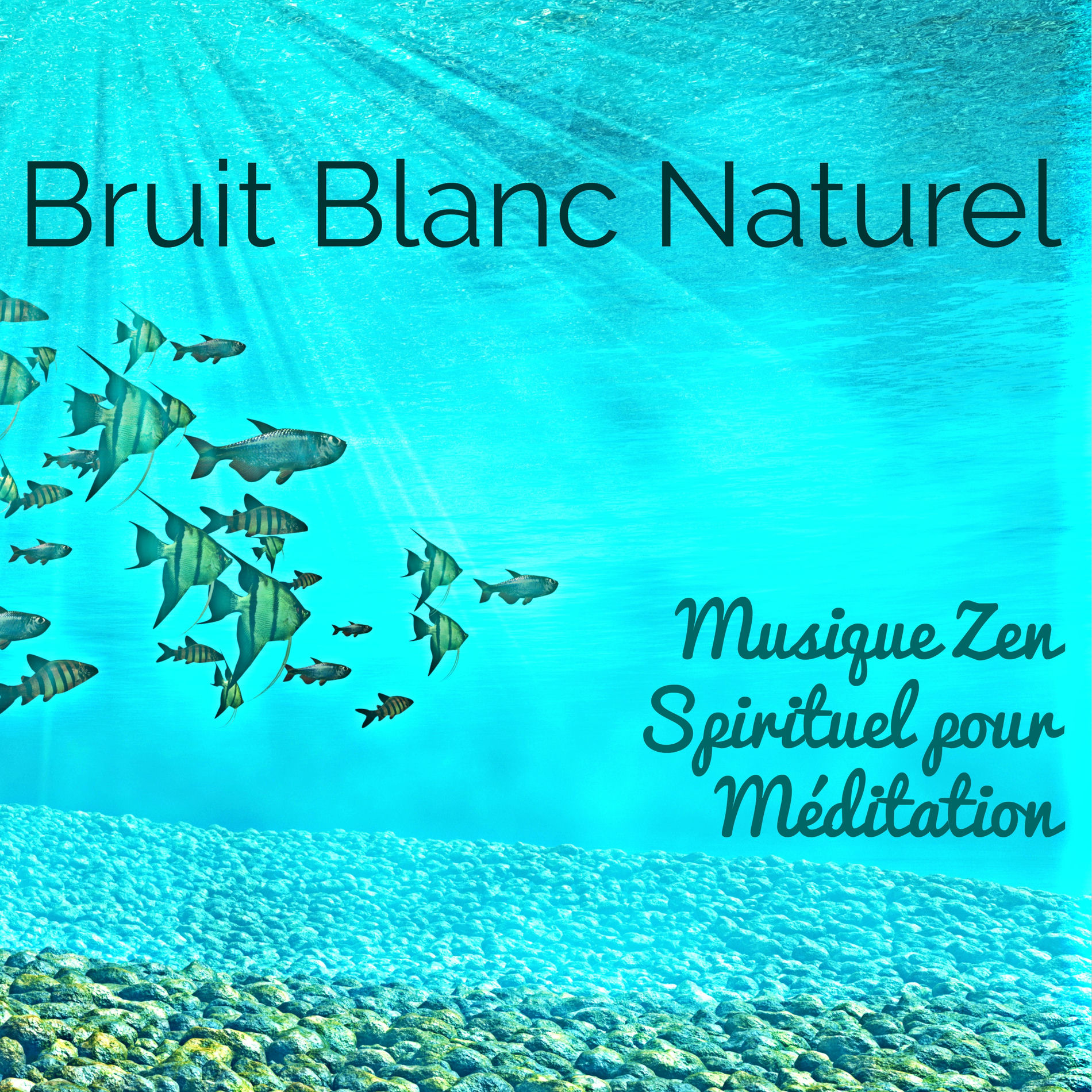 Album cover of Bruit Blanc Naturel: Musique Zen Spirituel pour Méditation, Yoga de Guérison et Massage Profond Spa