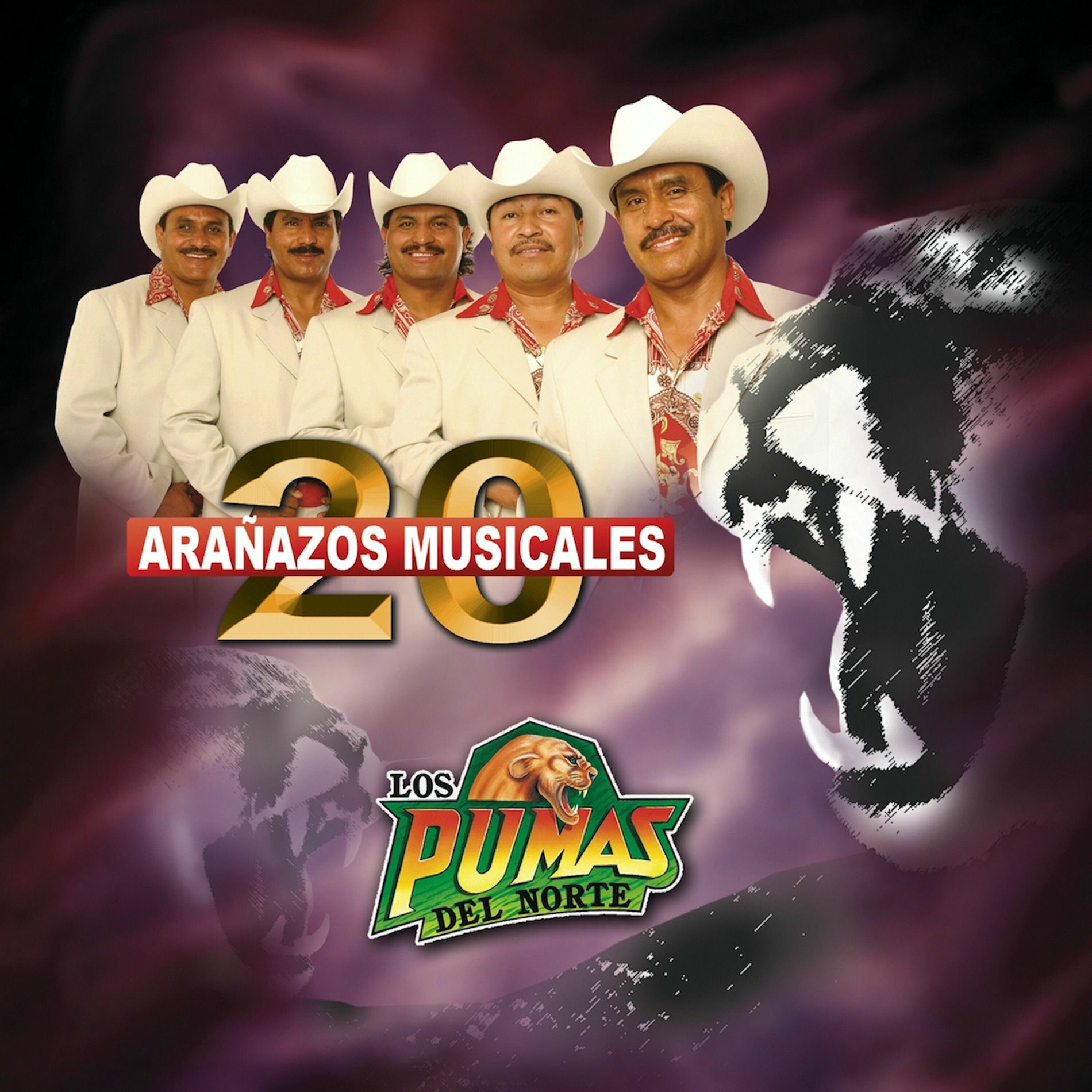 Album cover of 20 Arañazos Musicales