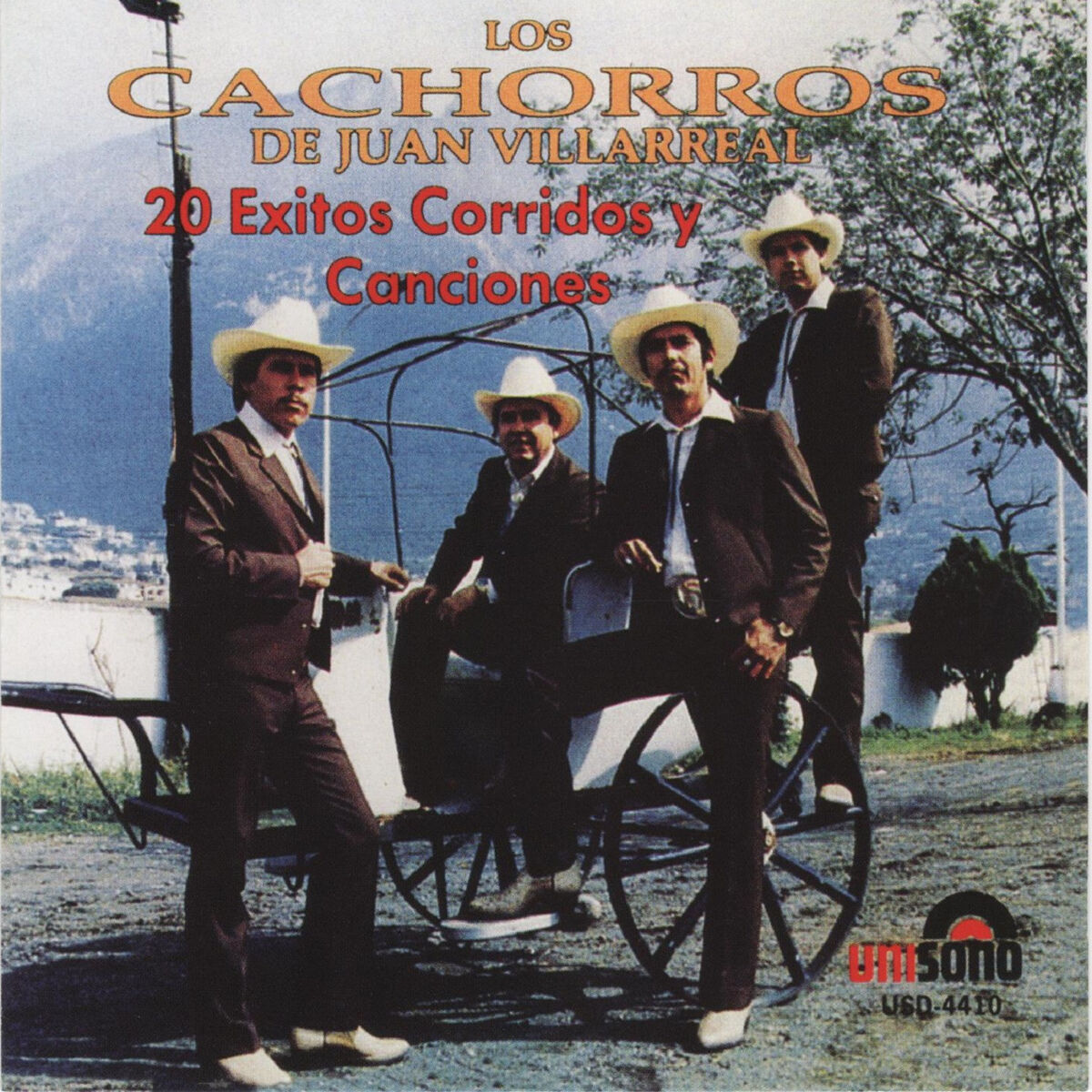 Album cover of 20 Exitos Corridos y Canciones