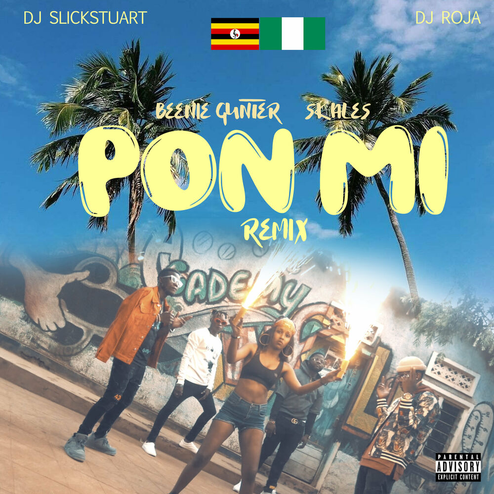 Picture of Pon Mi Remix