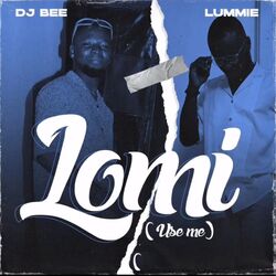 Cover of Lomi (Use Me)