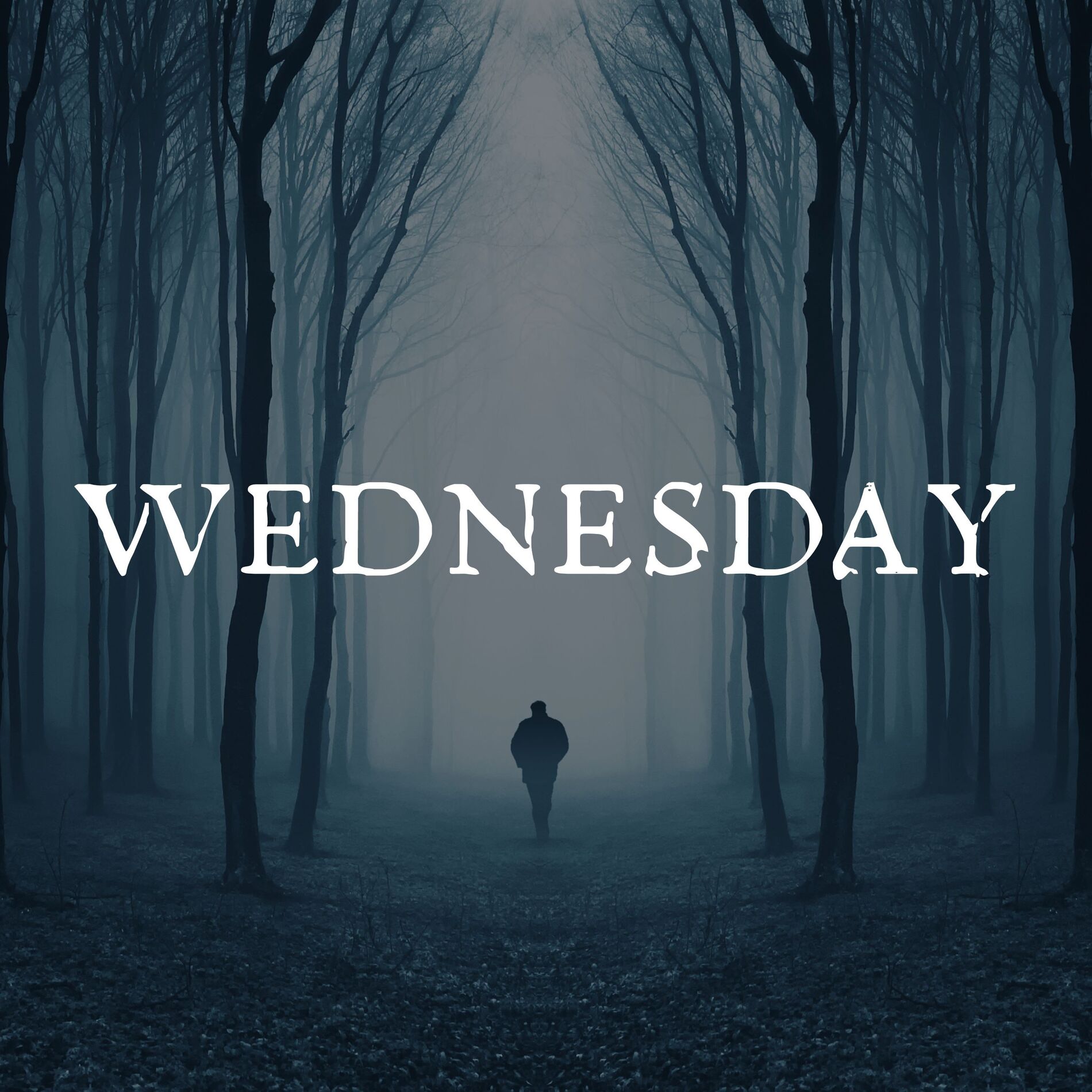 Album cover of Wednesday (Adams Family Goo Goo Muck)