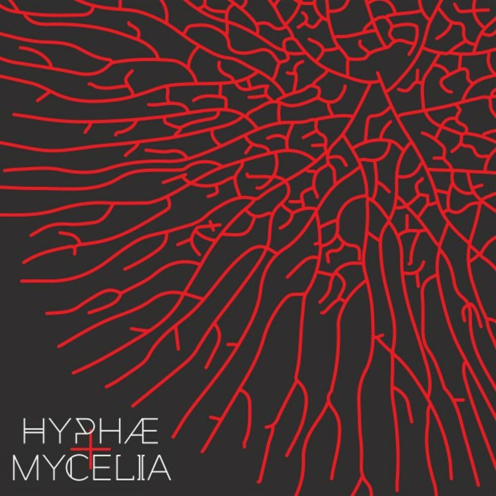 Picture of Hyphae+ Mycelia
