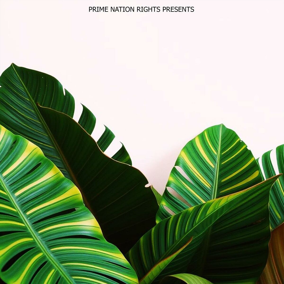 Album cover of Love Melodies
