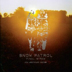Cover of Final Straw (20th Anniversary Edition)