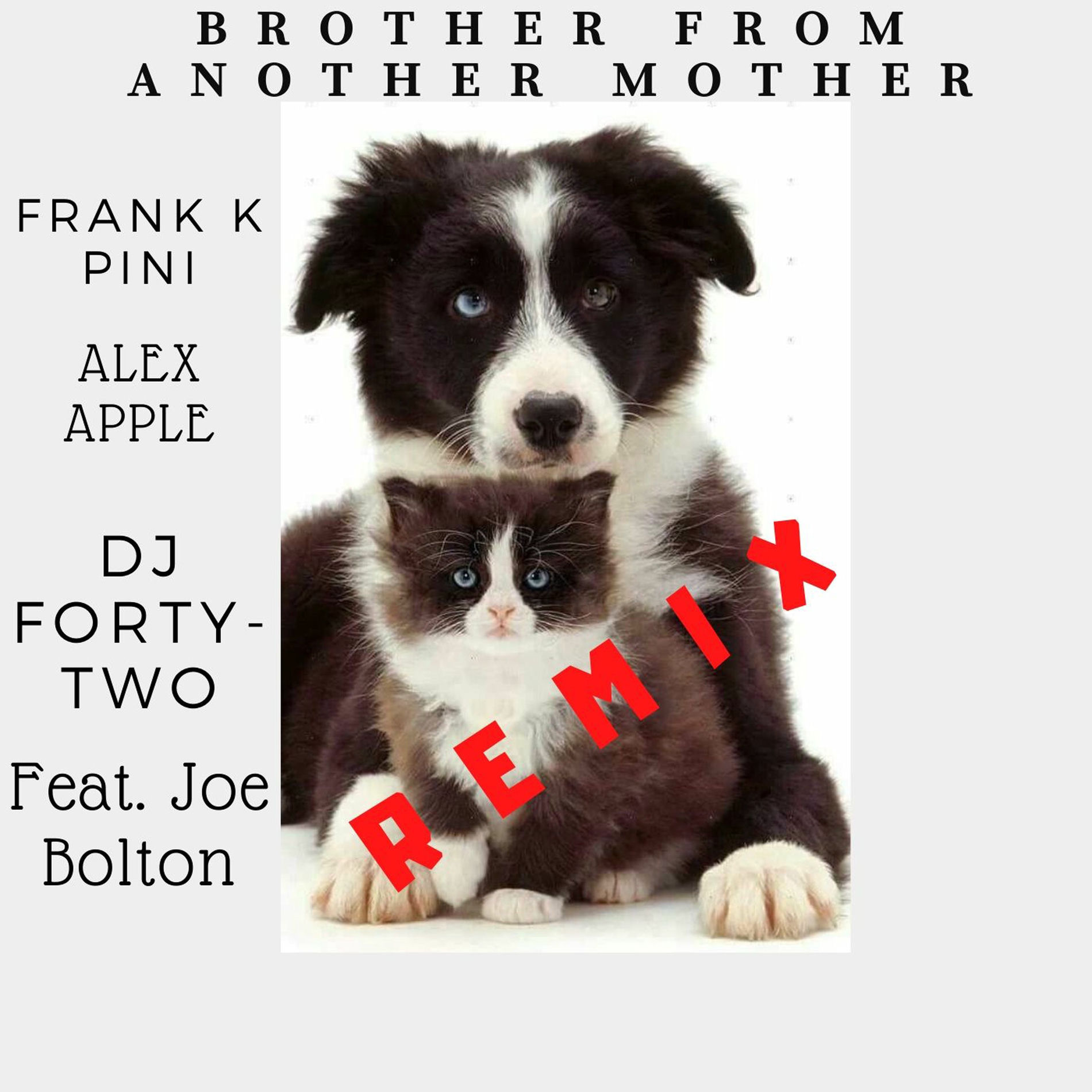 Album cover of Brother from Another Mother (Remix)