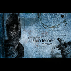 Cover of Sein Lernen Remixes