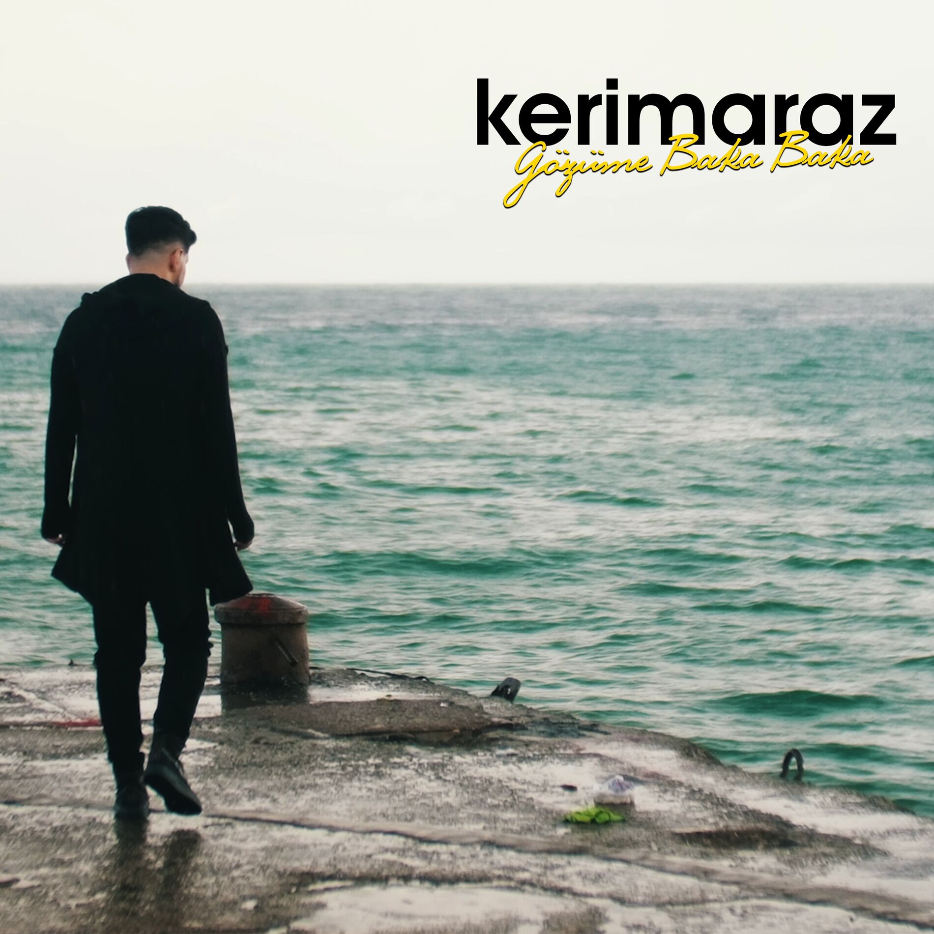 Album cover of Gözüme Baka Baka