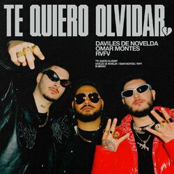 Cover of Te quiero olvidar ?