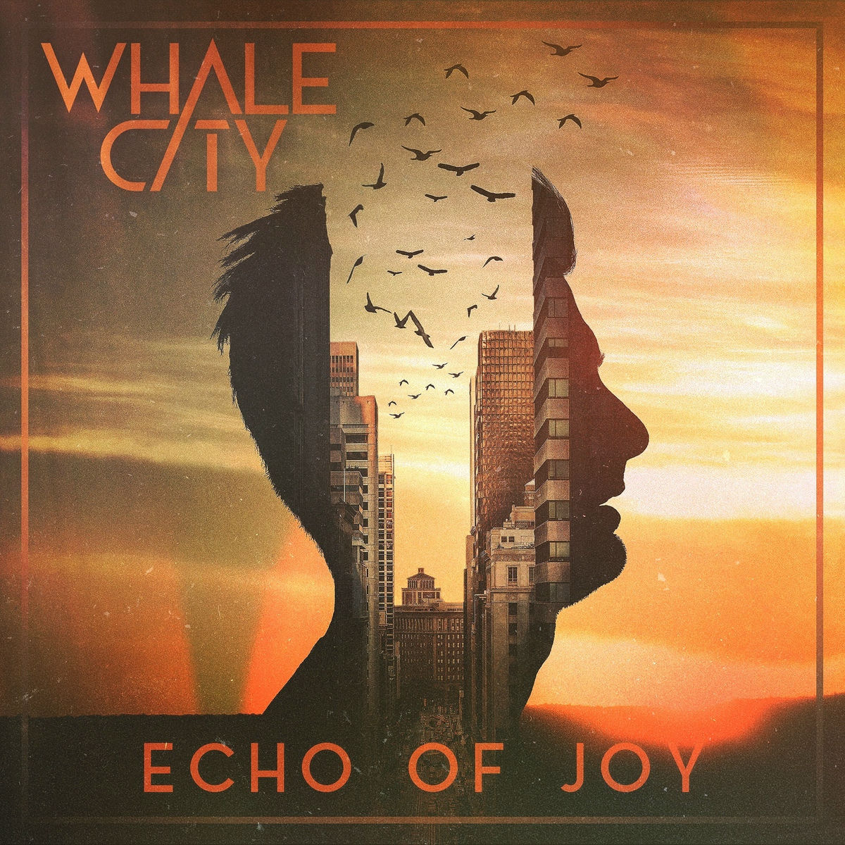 Album cover of Echo Of Joy