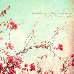 Cover of With Clear Eyes