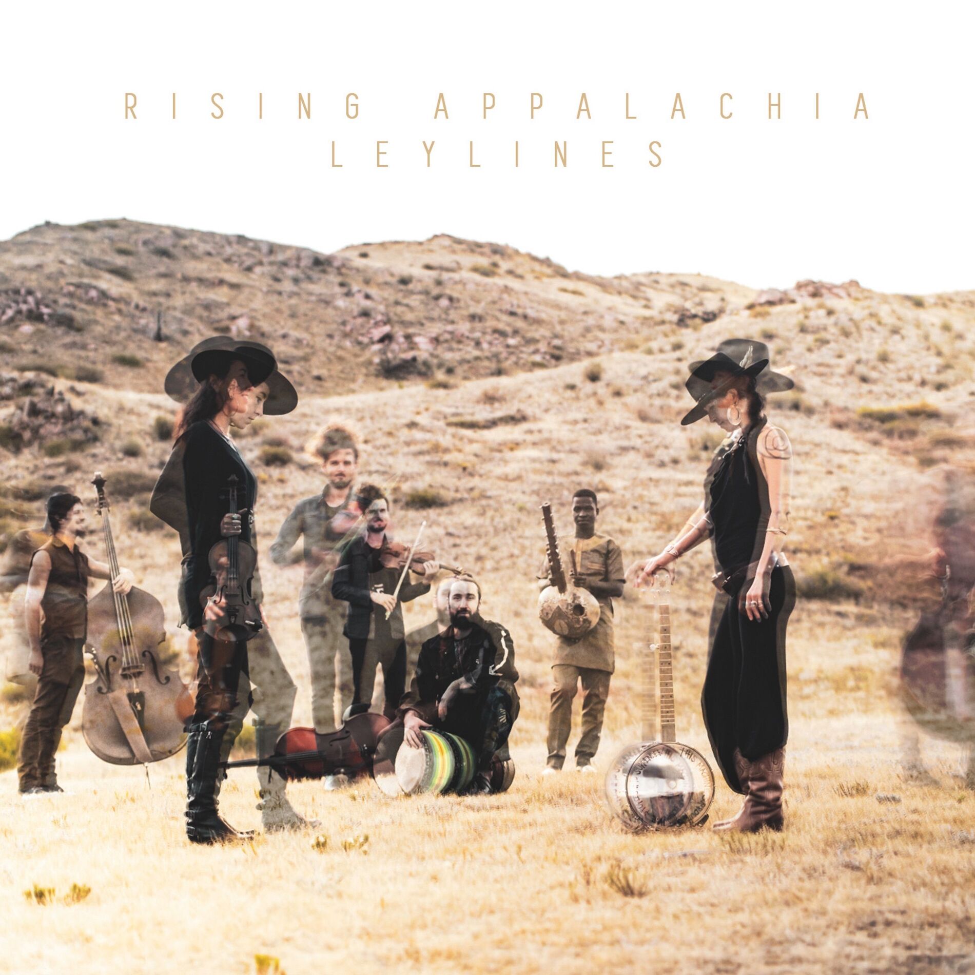 Album cover of Leylines